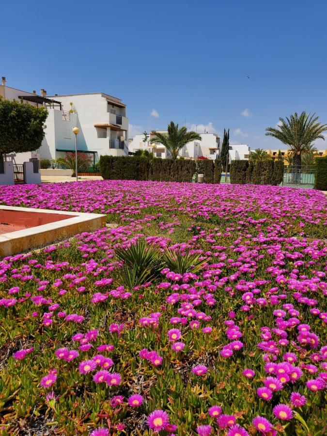 Naturista En Primera Línea De Vera Playa!!!